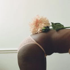 Shopify Basja Panty Buff Lingerie