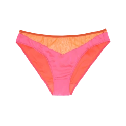 Shopify Aaron Panty Guava Best Selling Lingerie