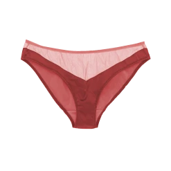 Shopify Aaron Panty Agate Lingerie