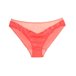 Shopify Aaron Panty Brink