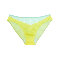 Shopify Aaron Panty Mint Lingerie