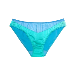 Shopify Lingerie Aaron Panty Sky