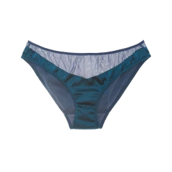 Shopify Best Selling Lingerie Aaron Panty Storm