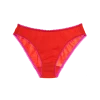Shopify Isabella Panty Persimmon