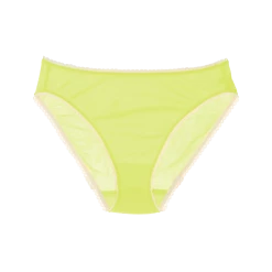 Shopify Lingerie Isabella Panty Quince
