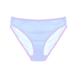 Shopify Organic Cotton Lingerie Isabella Panty Ciel