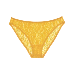 Shopify Lingerie Tris Panty Celandine