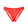 Shopify Tris Panty Persimmon New Arrivals