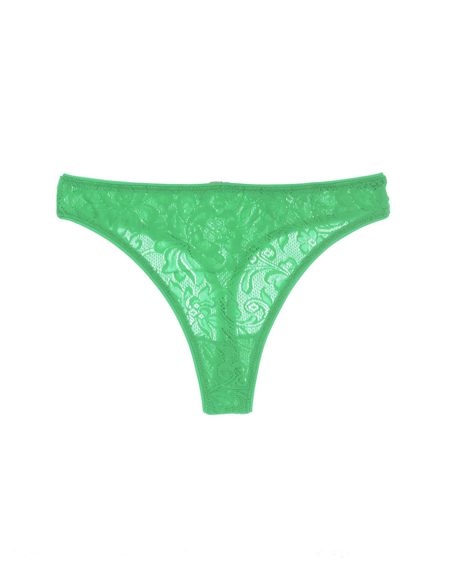 Shopify Tine Thong Parakeet