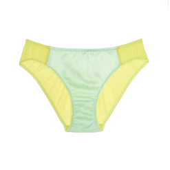 Shopify Yahvi Panty Citron New In Lingerie