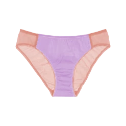 Shopify Lingerie Yahvi Panty Quartz & Thistle